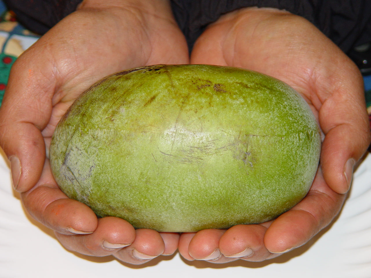 Fresh Michigan Pawpaw Fruit